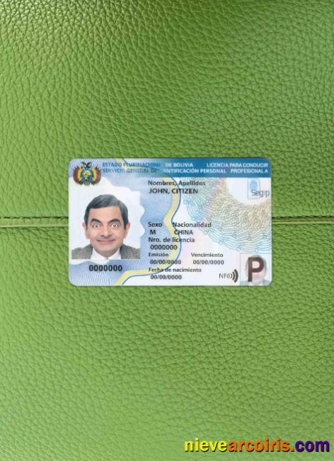 Bolivia driving license (2017 – present) photolook